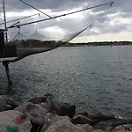 Al Ragno